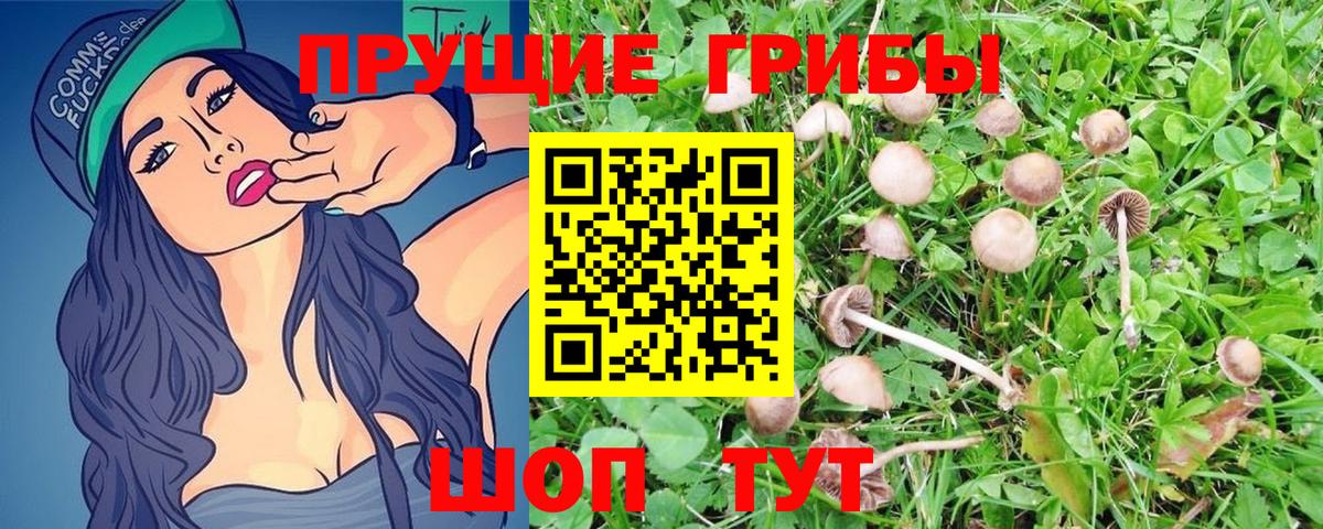 Псилоцибиновые грибы MAGIC MUSHROOMS Анапа