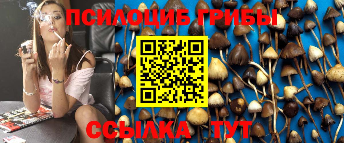 Галлюциногенные грибы Cubensis  Вход с VPN  Анапа  что такое наркотик  Псилоцибиновые грибы GOLDEN TEACHER 